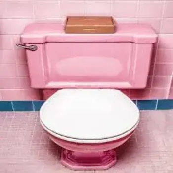 PVC Plastic Toilet Seat Cover plastic_toilet_seat_cover 6-3073855-18326.webp